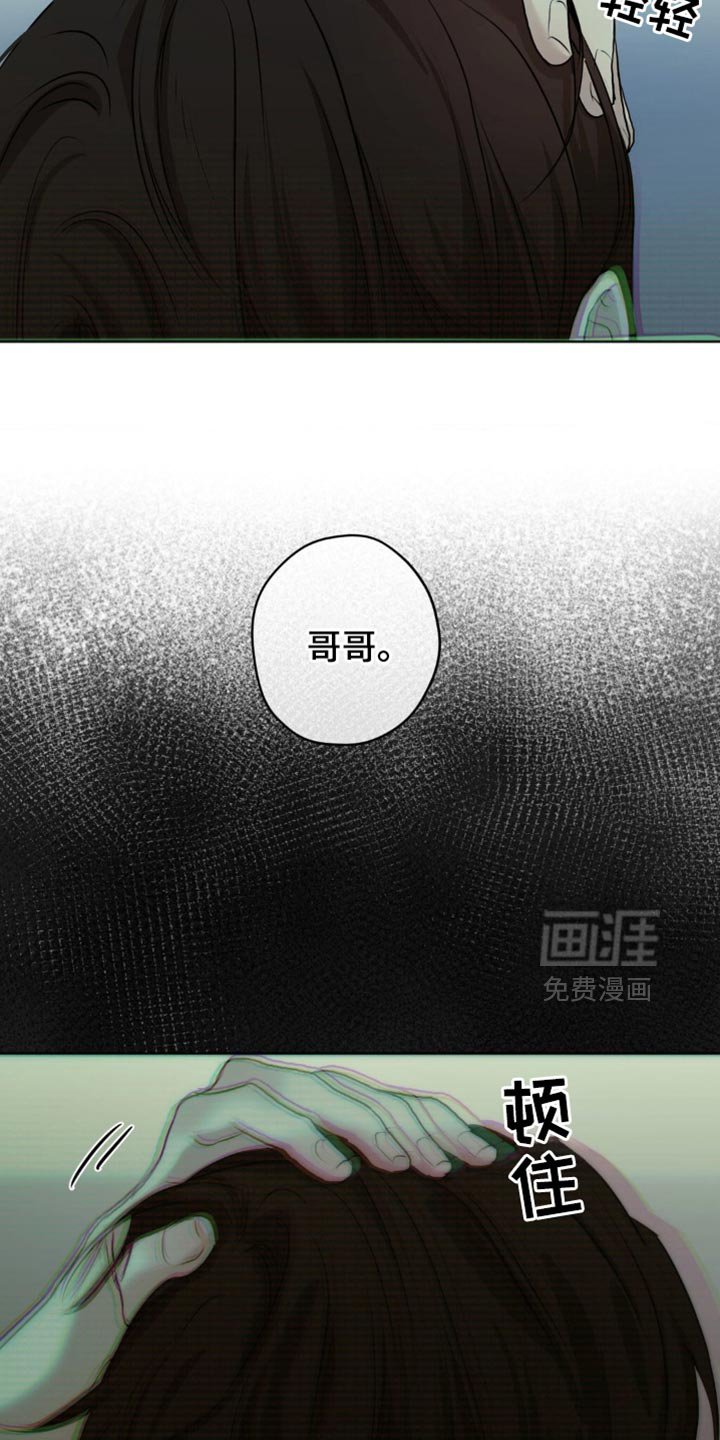 第41章：这是我做的