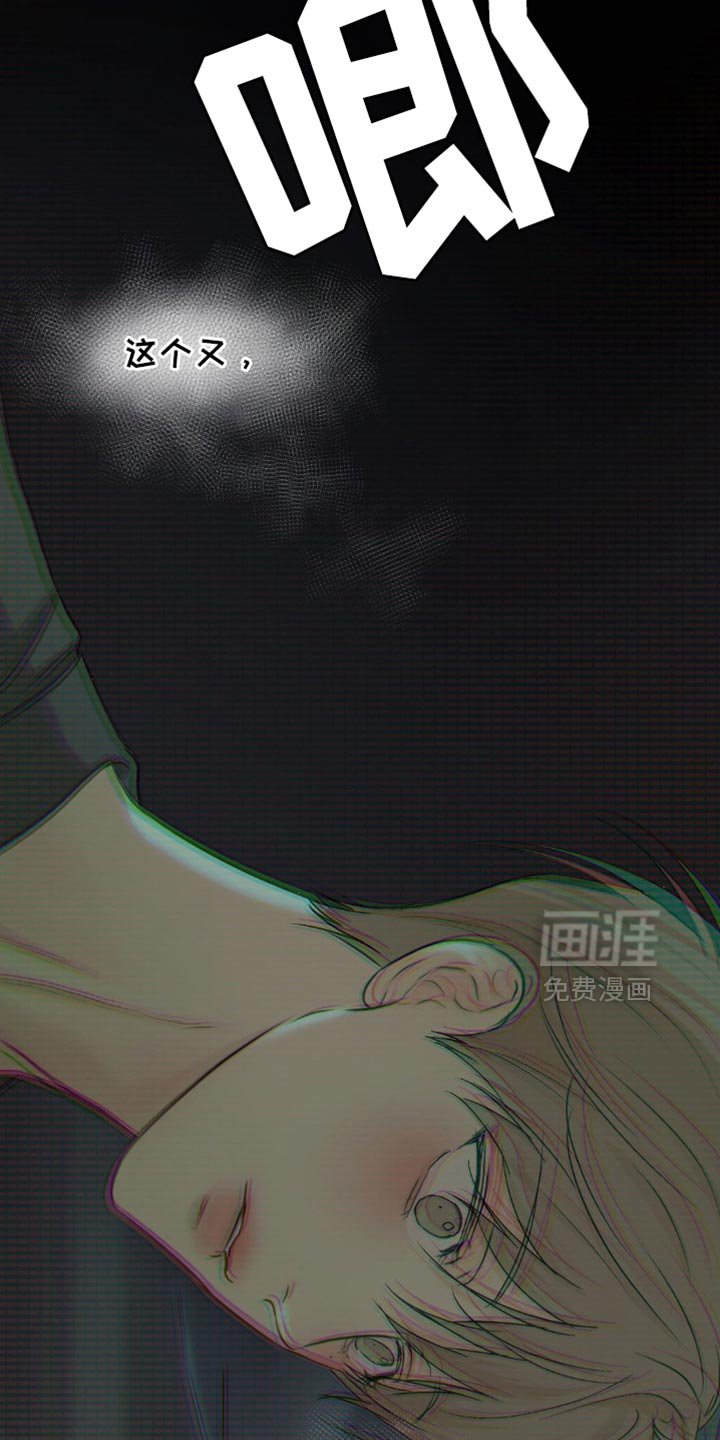 第41章：这是我做的