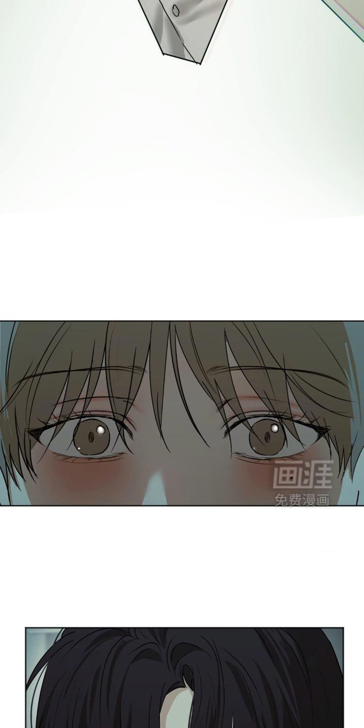 第41章：这是我做的