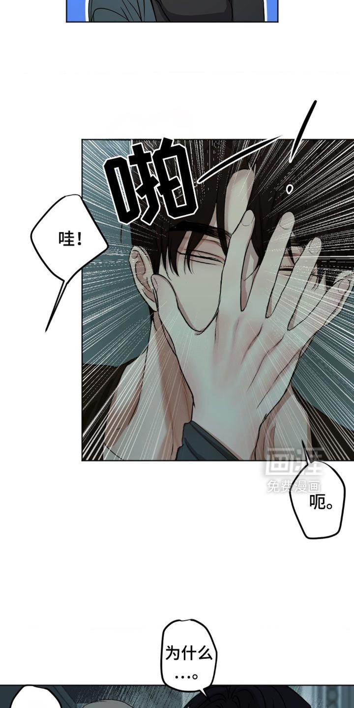 第41章：这是我做的