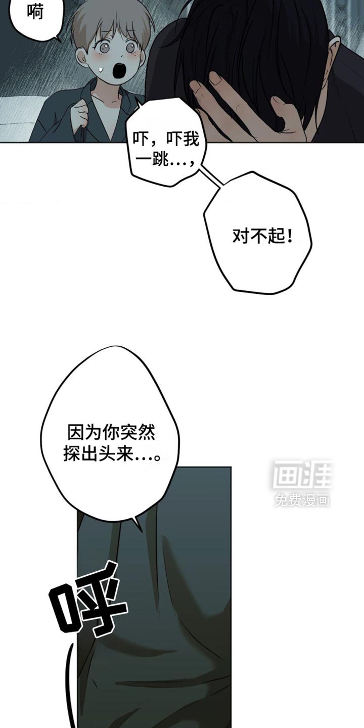第41章：这是我做的
