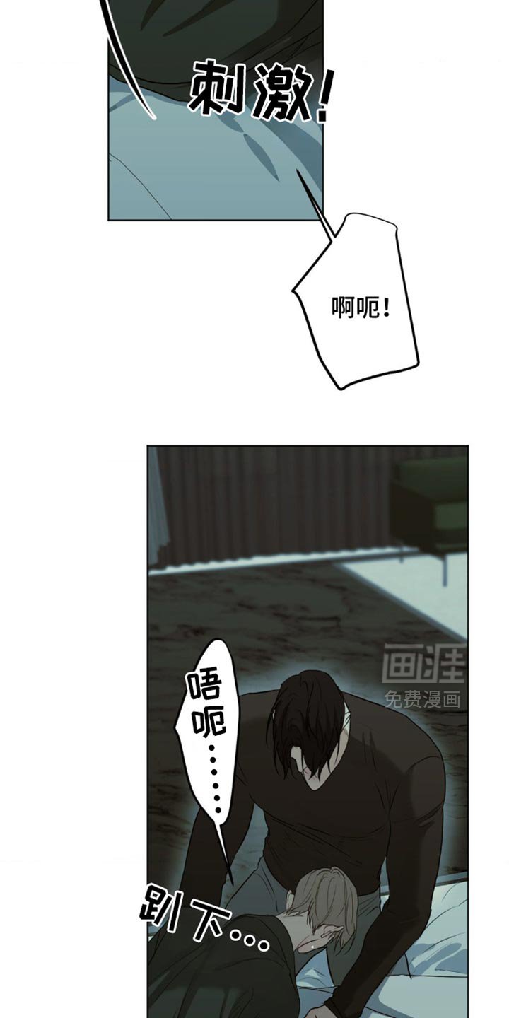 第41章：这是我做的