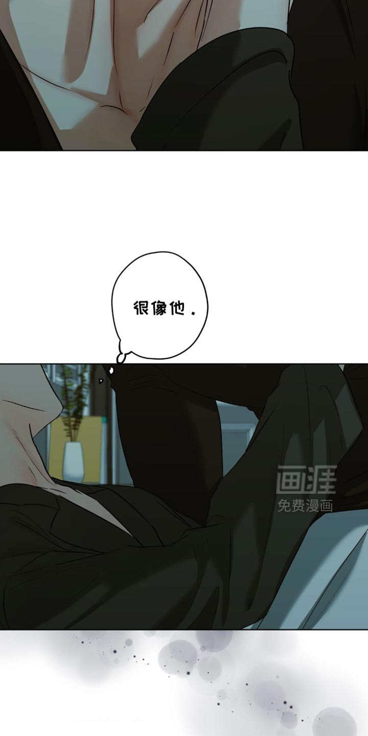 第41章：这是我做的