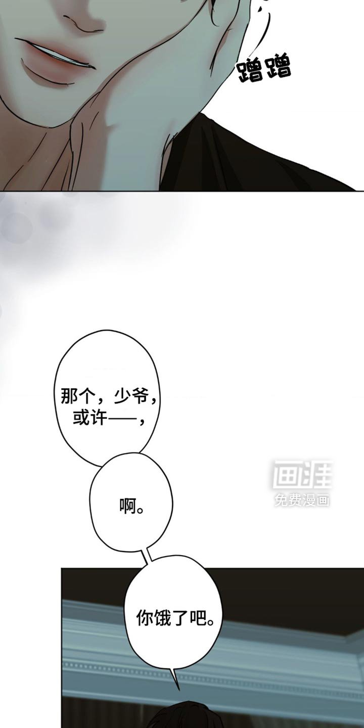 第41章：这是我做的