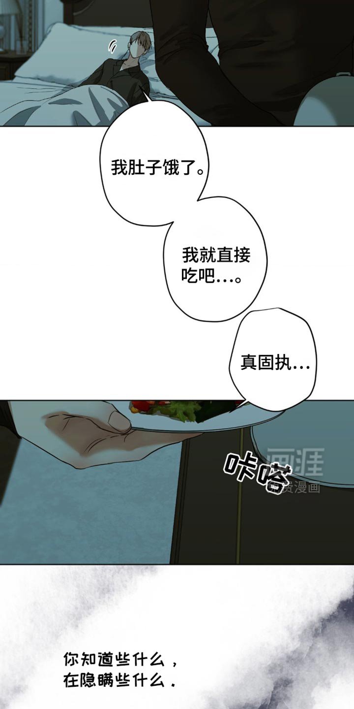 第41章：这是我做的
