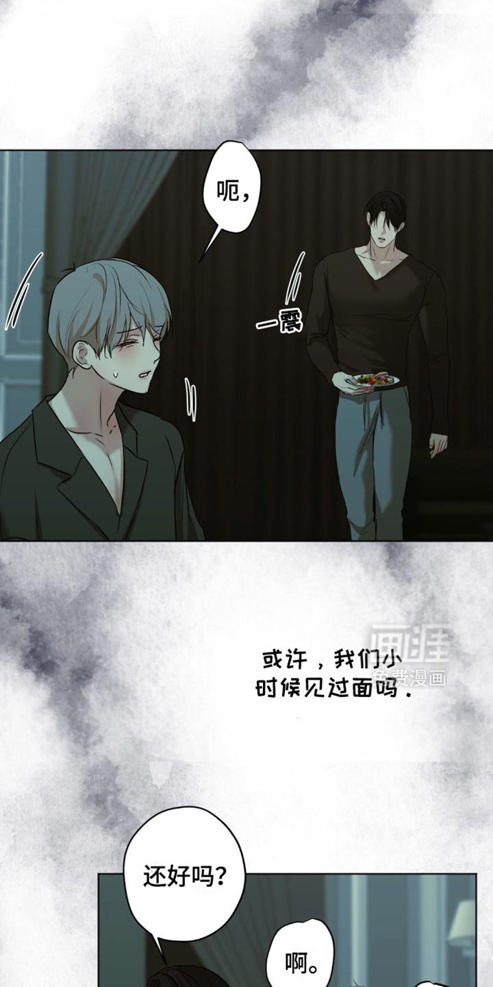 第41章：这是我做的