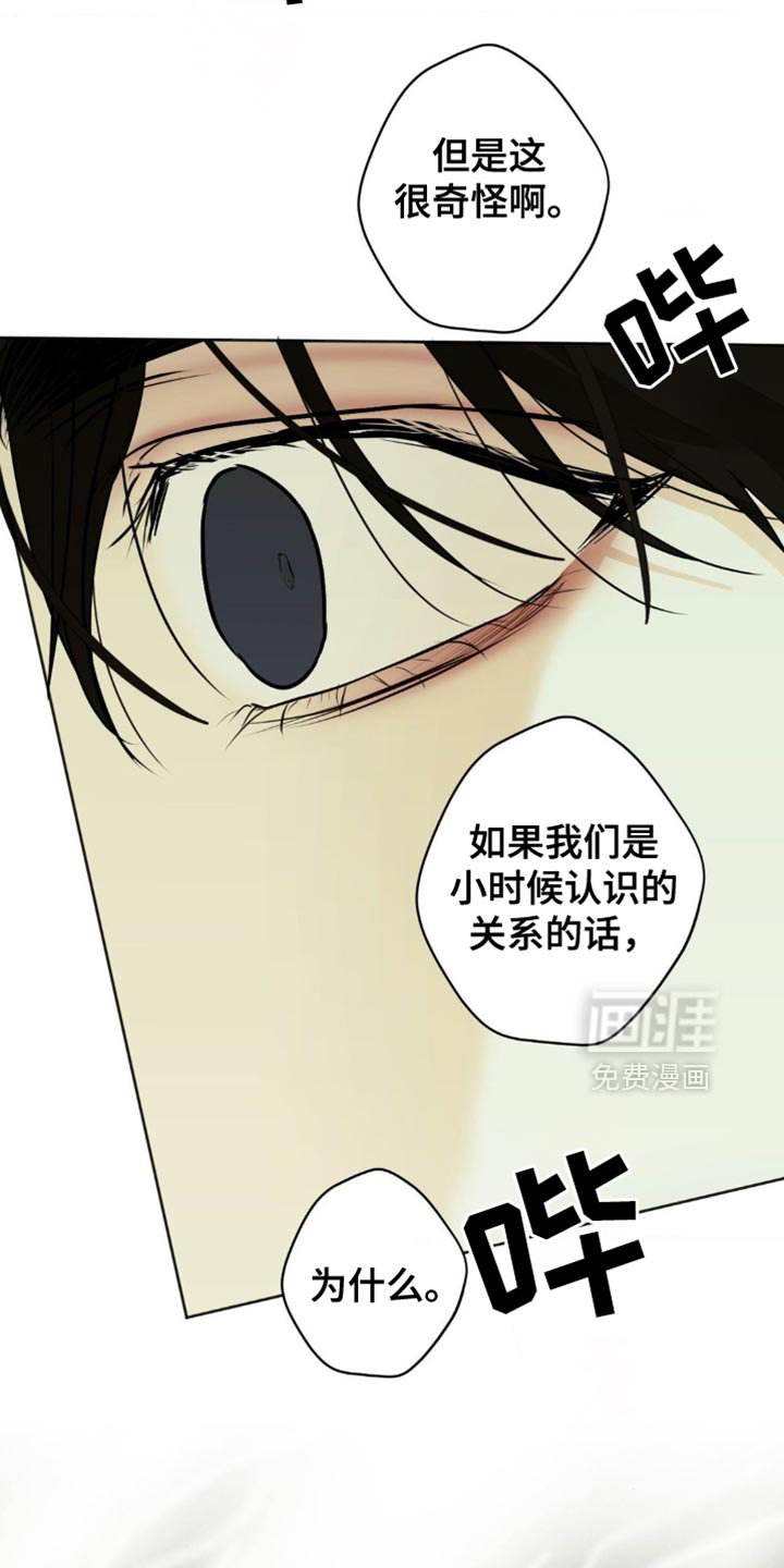 第48章：不会说谎