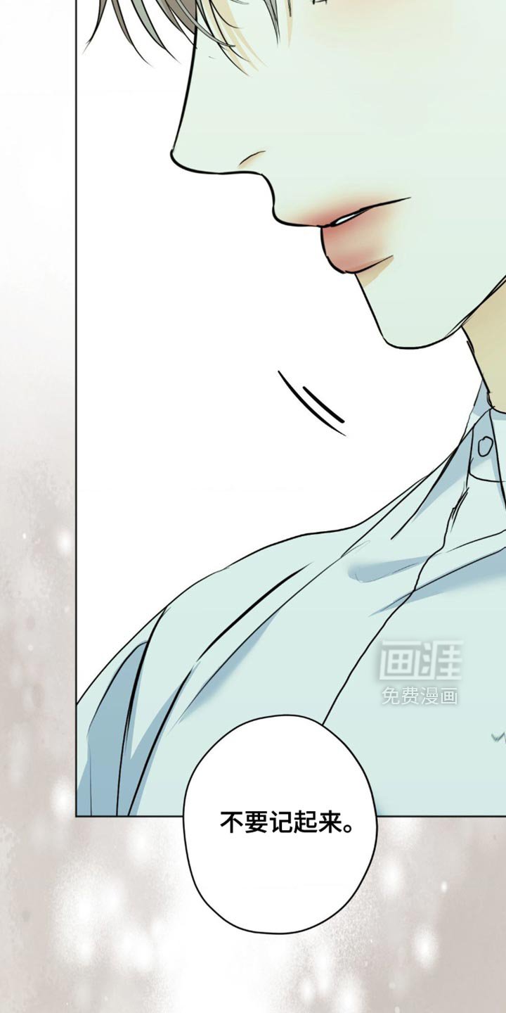 第49章：不要记起来