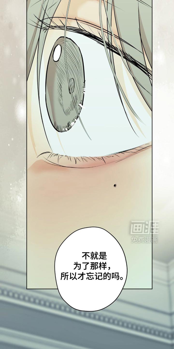 第49章：不要记起来