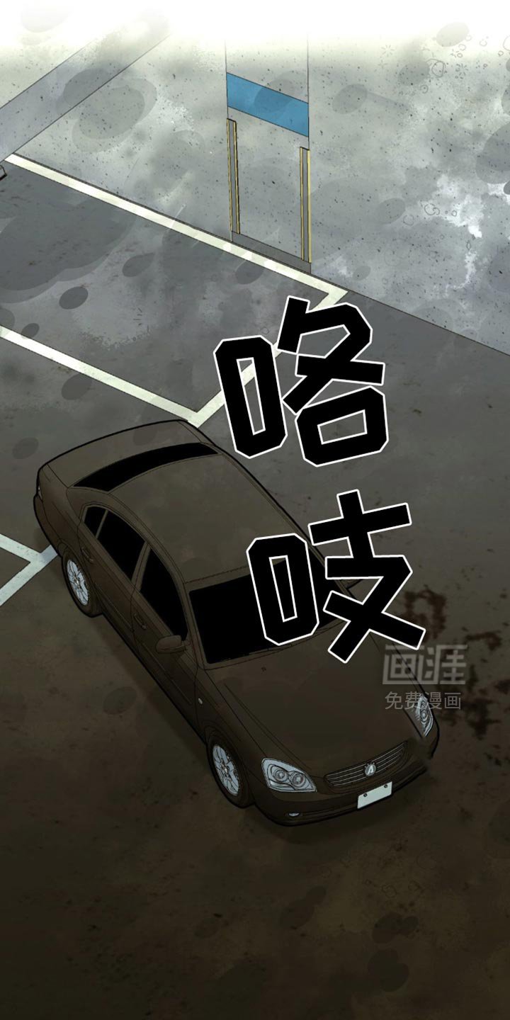 第51章：报告