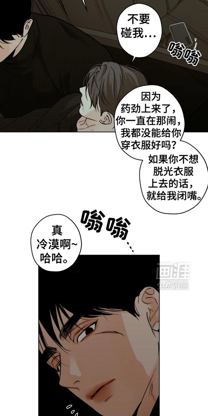 第51章：报告