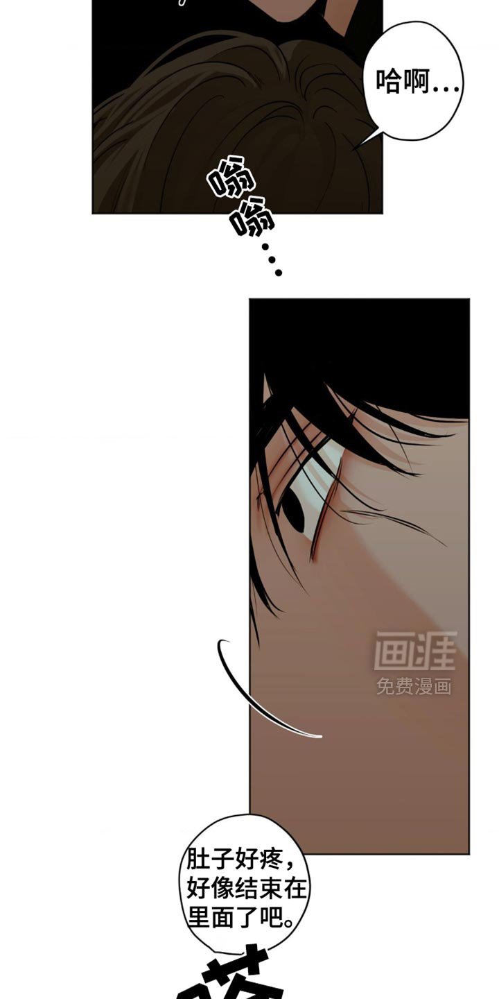 第51章：报告