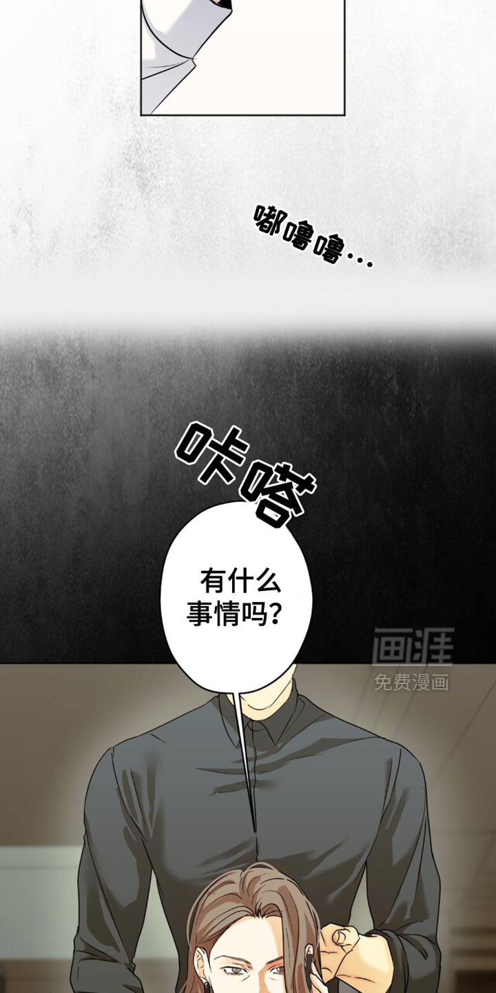 第51章：报告