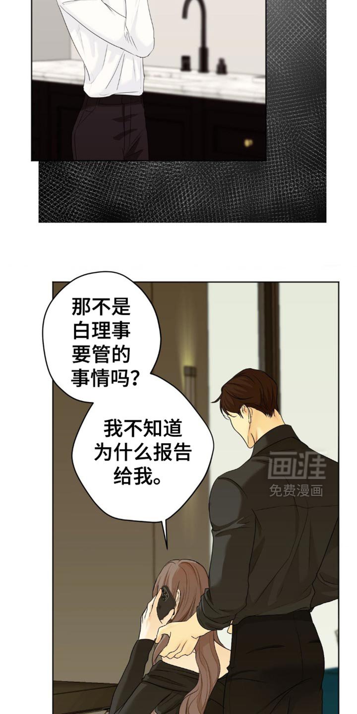 第51章：报告
