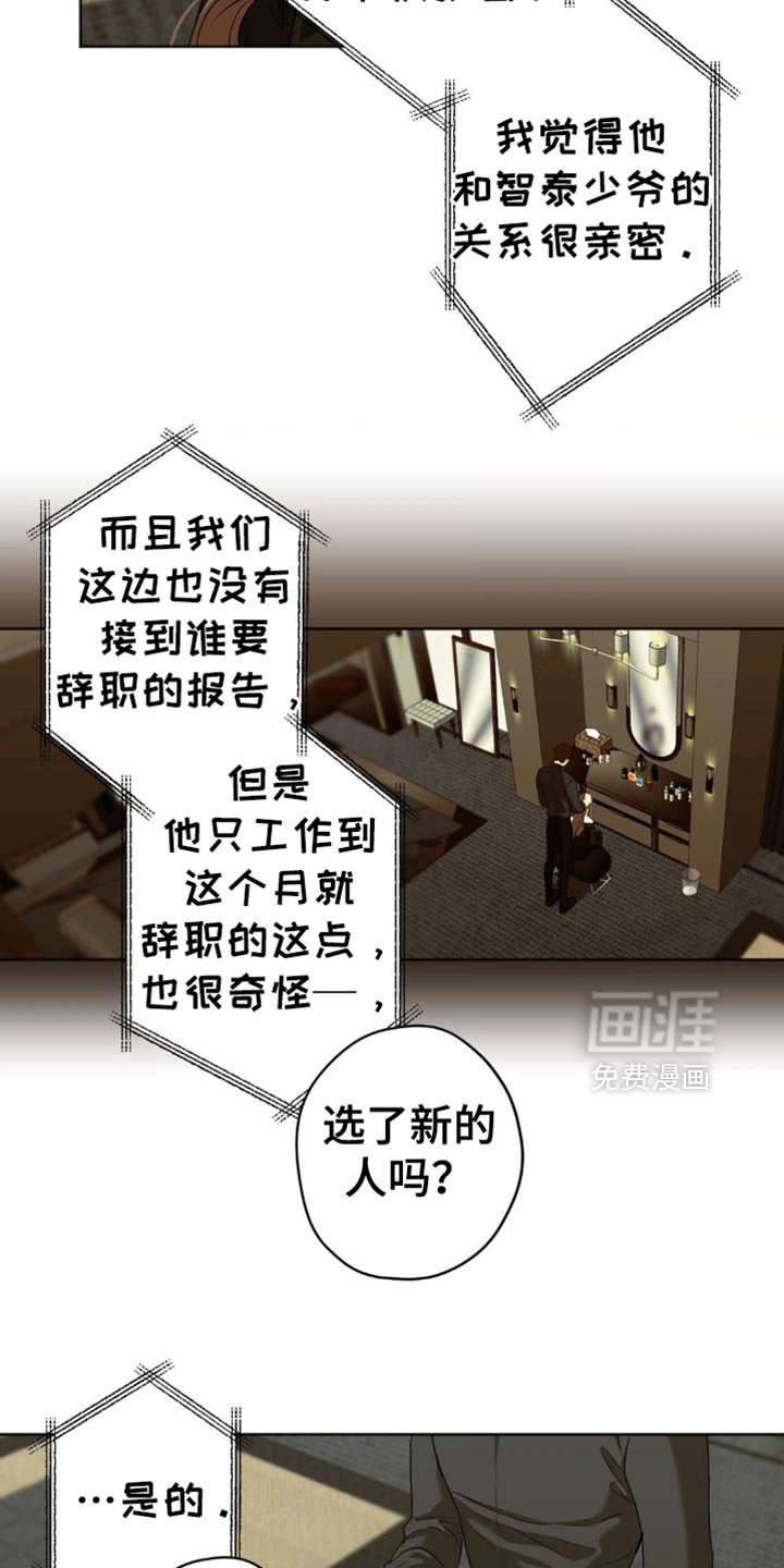 第51章：报告