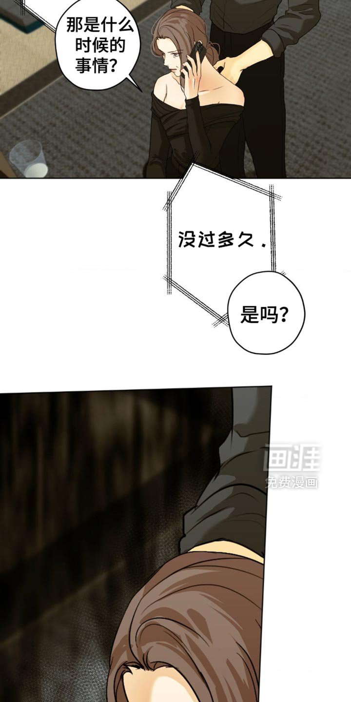 第51章：报告