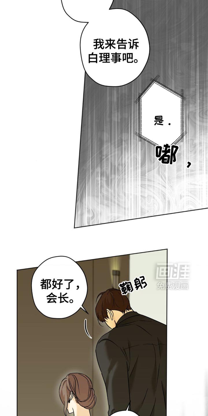 第51章：报告