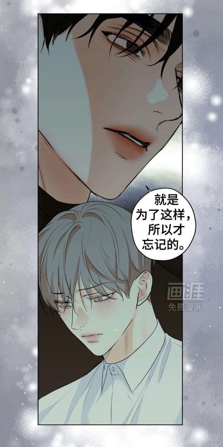第52章：找到了