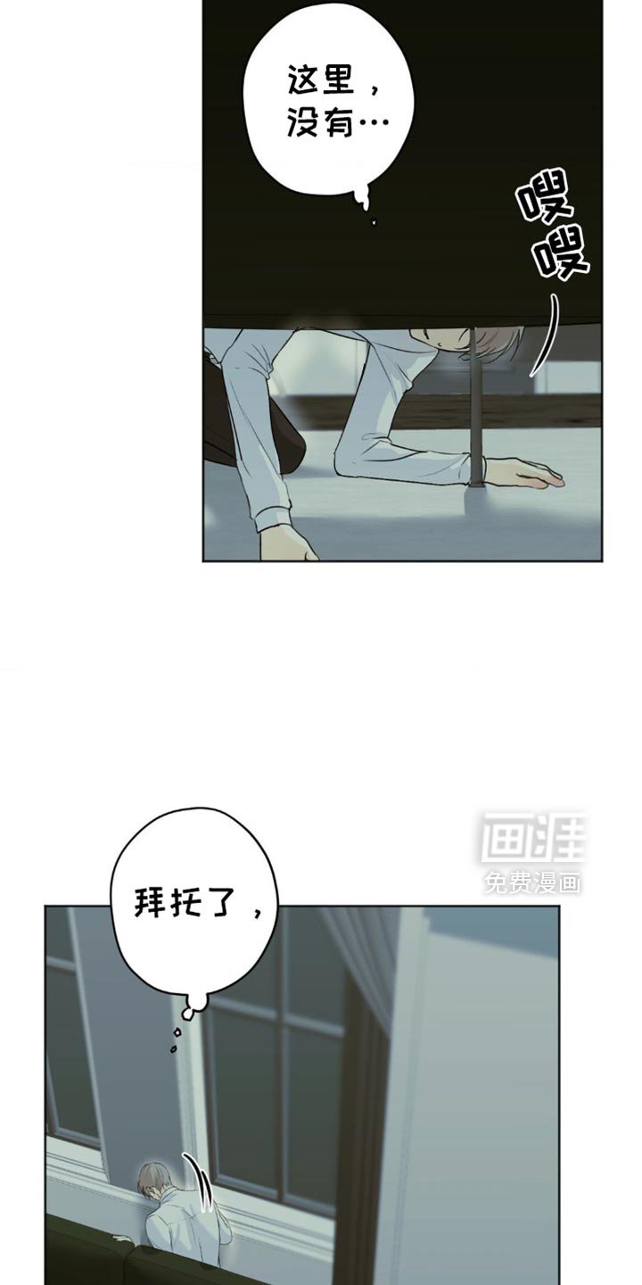 第52章：找到了