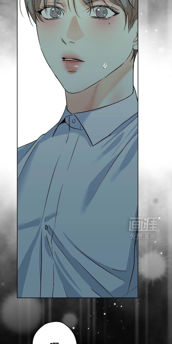 第52章：找到了