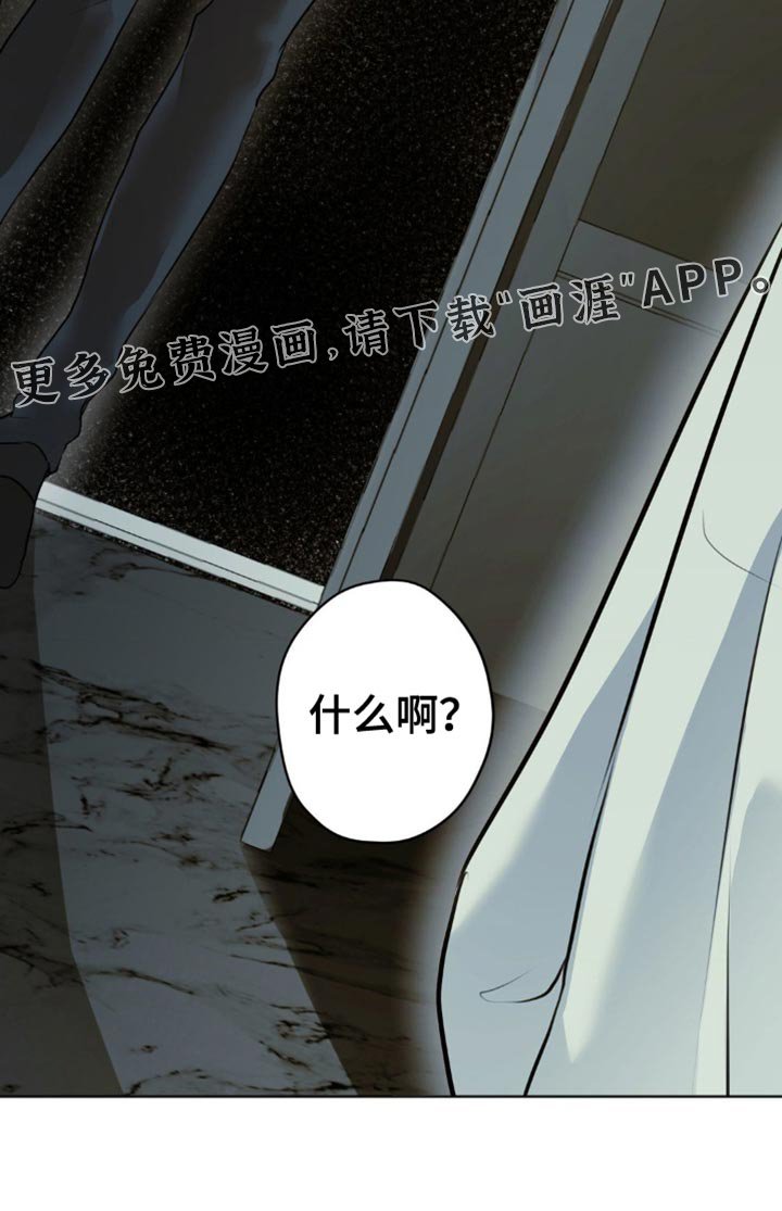第52章：找到了