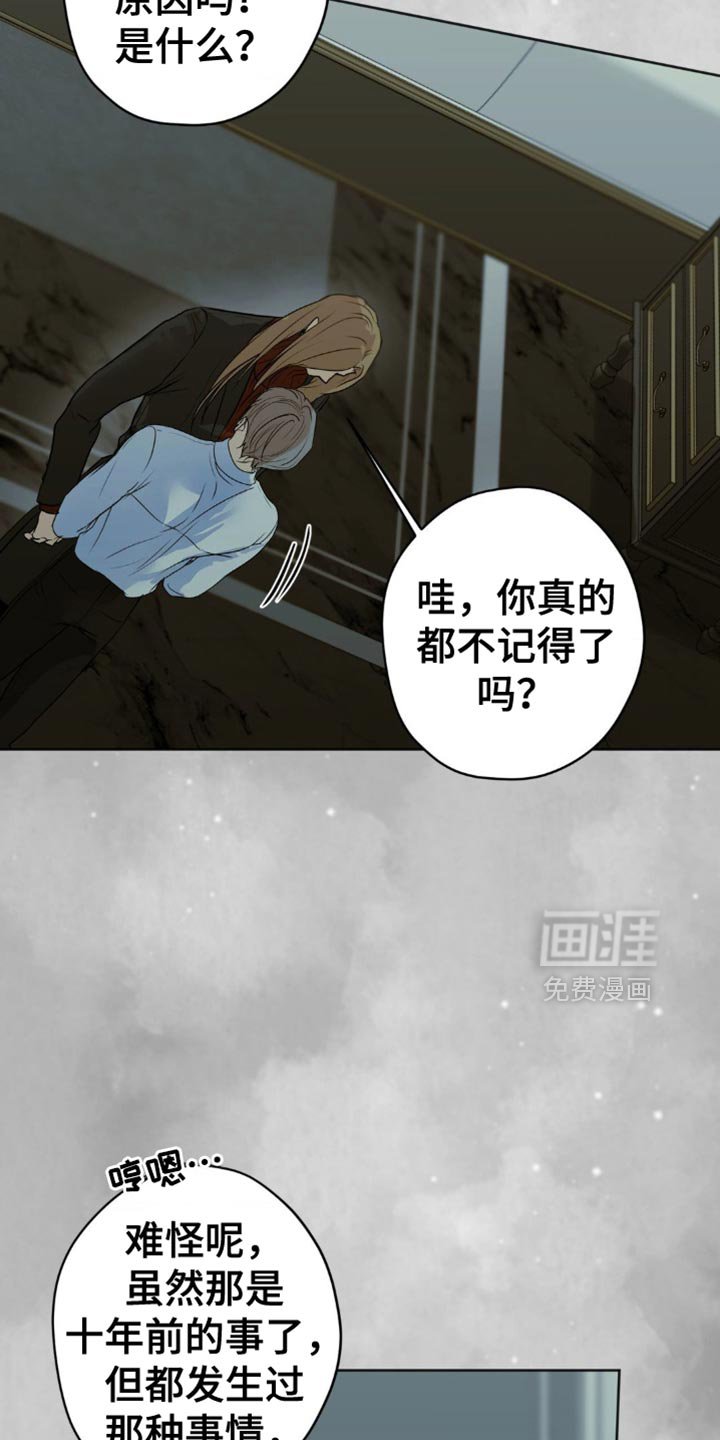 第54章：故作清高的家伙