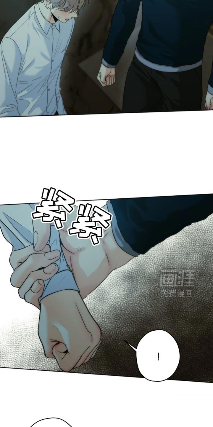 第56章：谎言