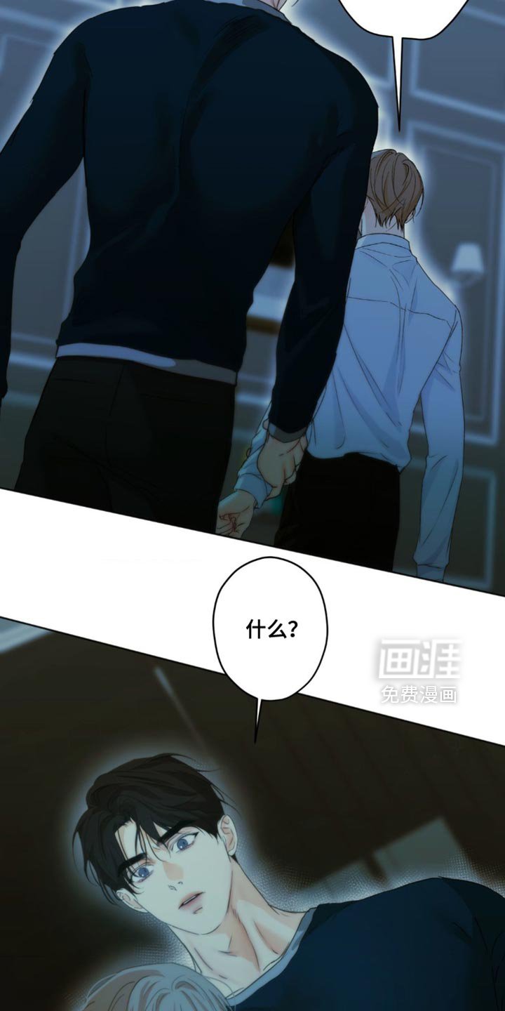 第56章：谎言