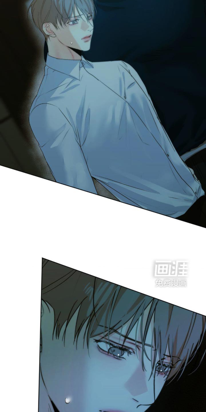 第56章：谎言