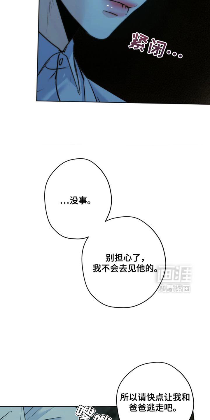 第56章：谎言