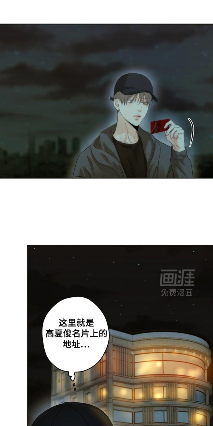 第56章：谎言