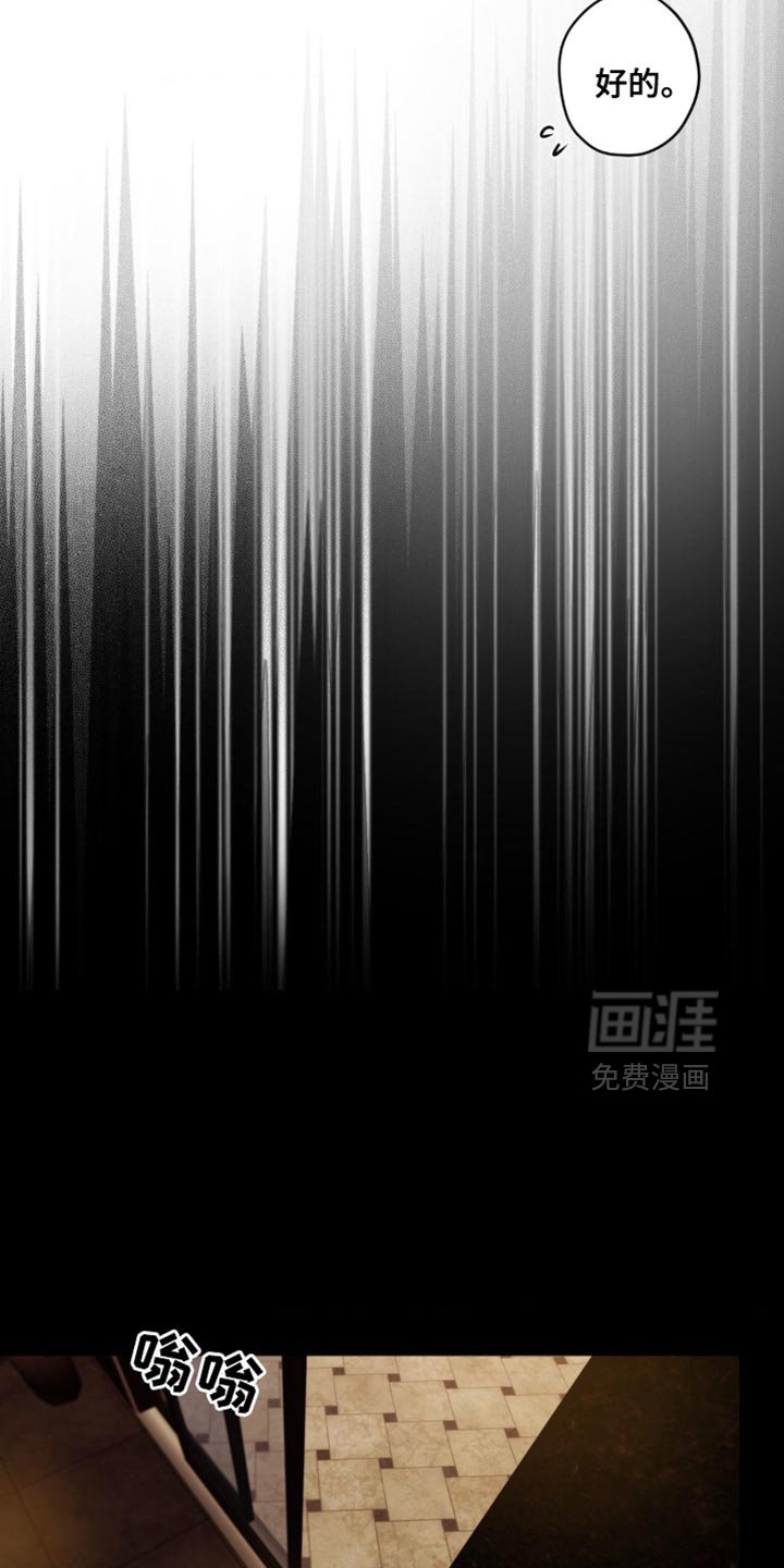 第56章：谎言