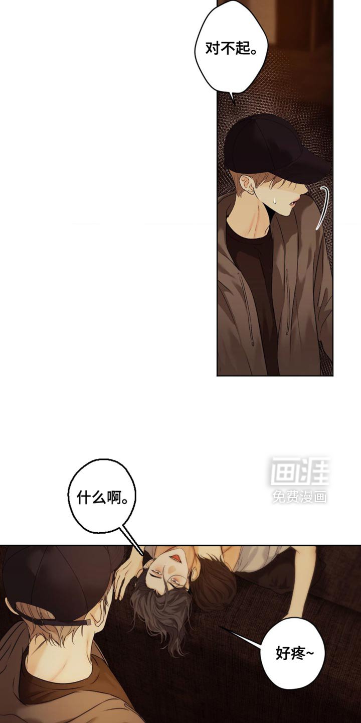 第56章：谎言