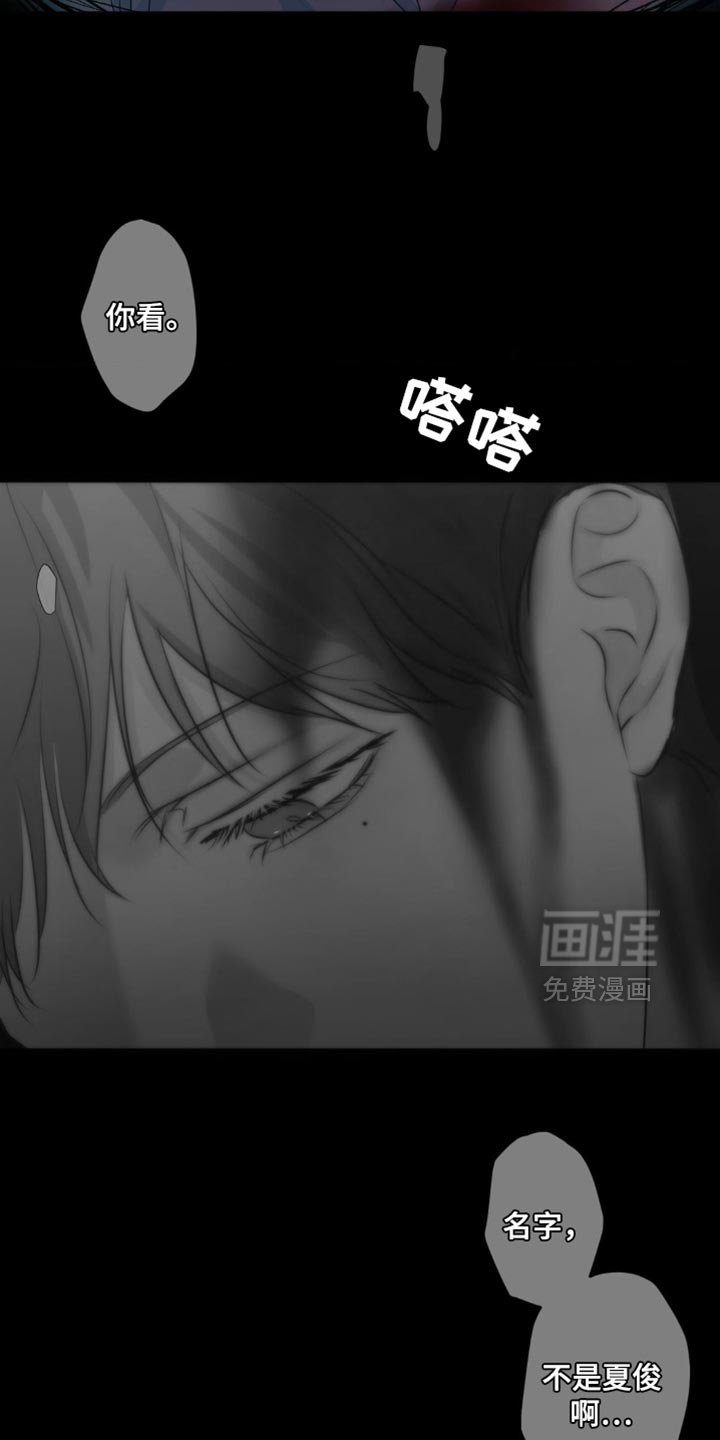第57章：替他受伤（第一季完结）