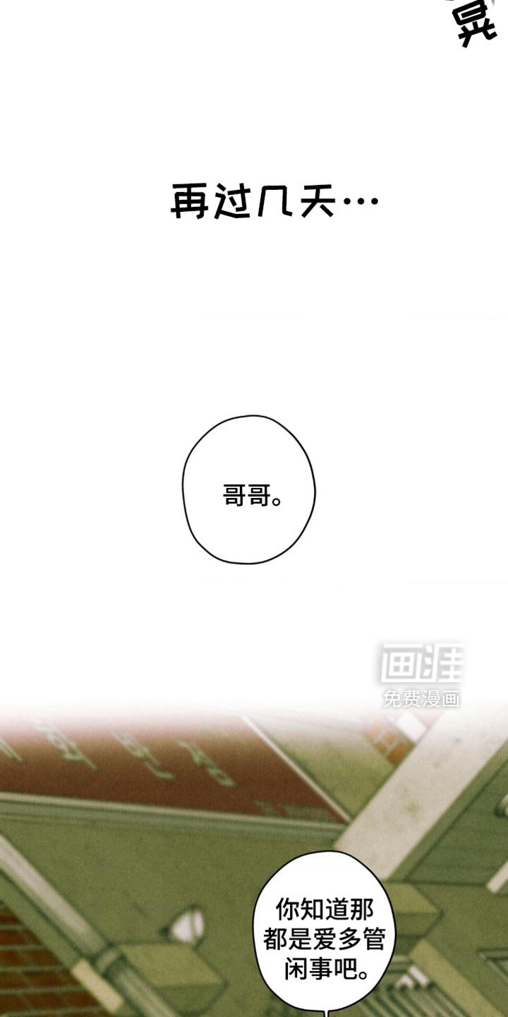 第61章：【第二季】我先走了