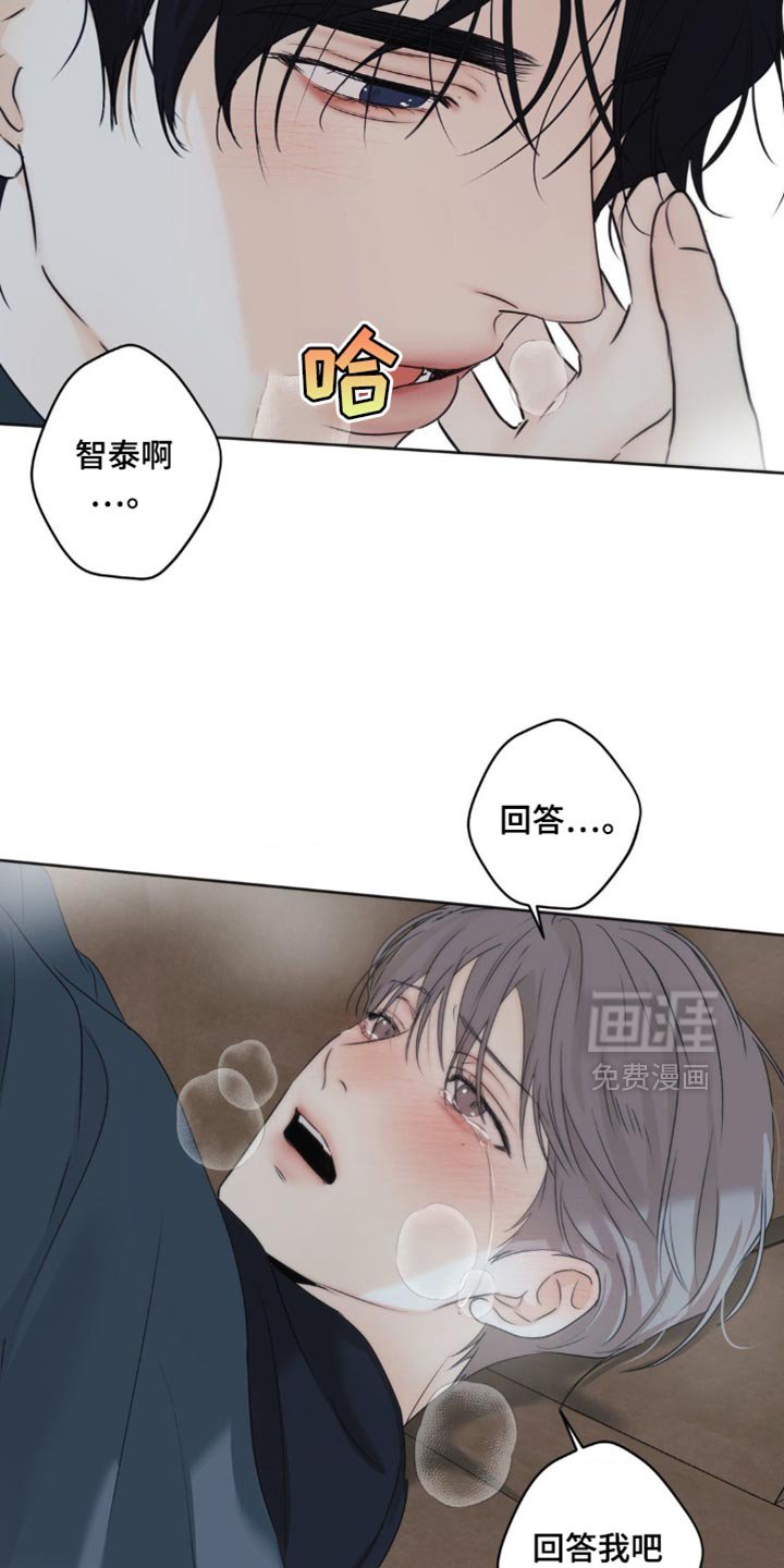 第65章：【第二季】不能再有纠缠的