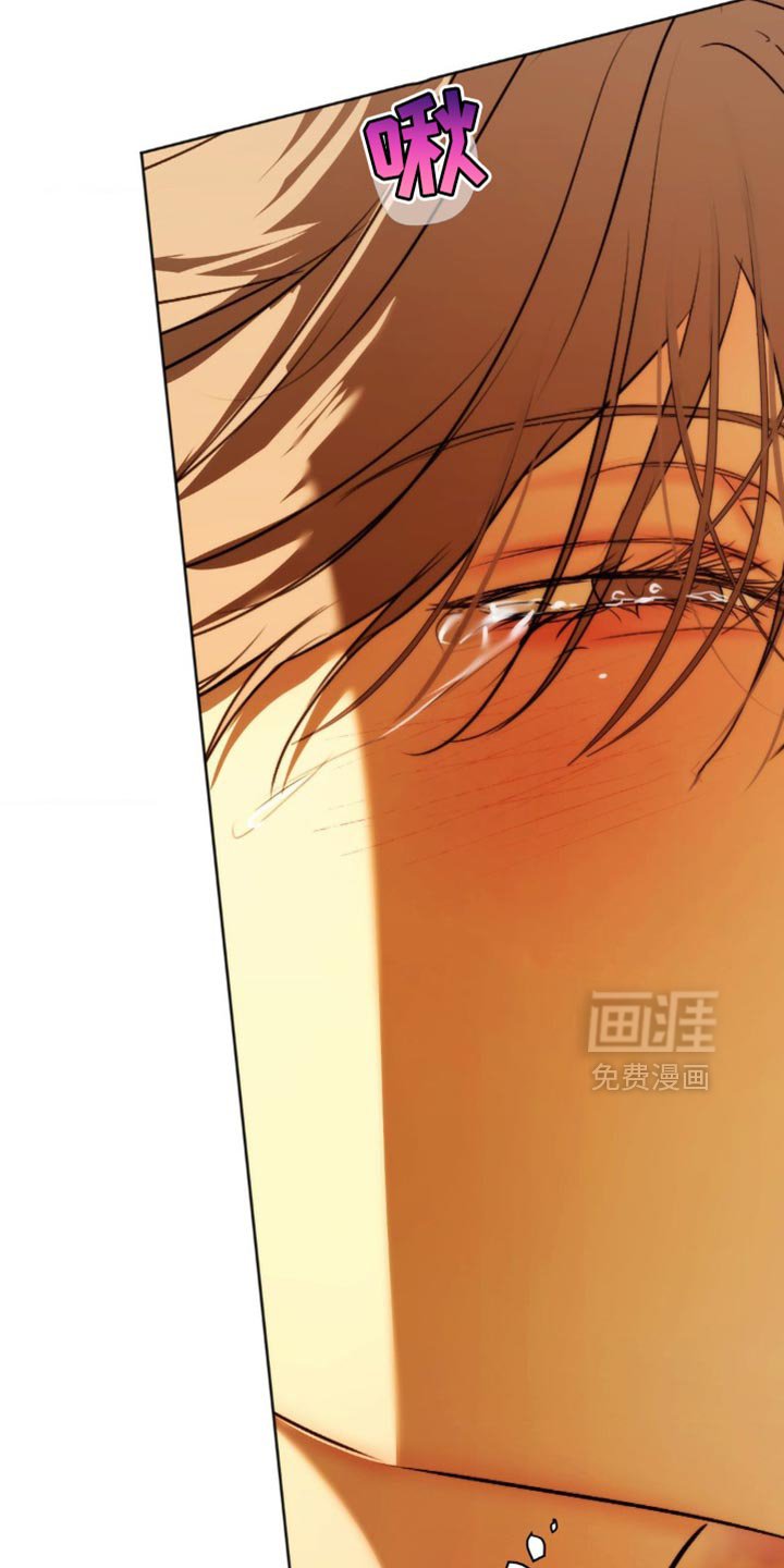 第72章：【第二季完结】一直喜欢你了