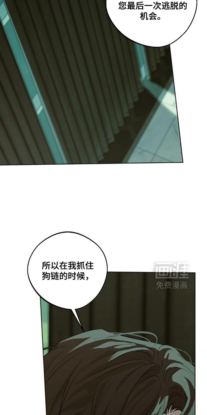 第74章：【第三季】干净利落
