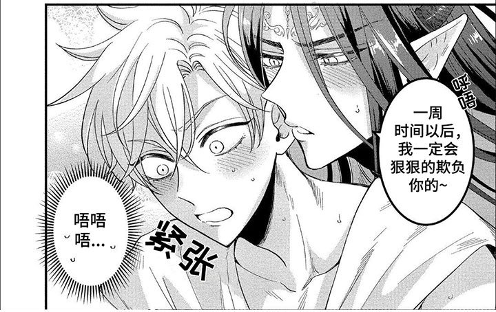 第11章：好好期待吧