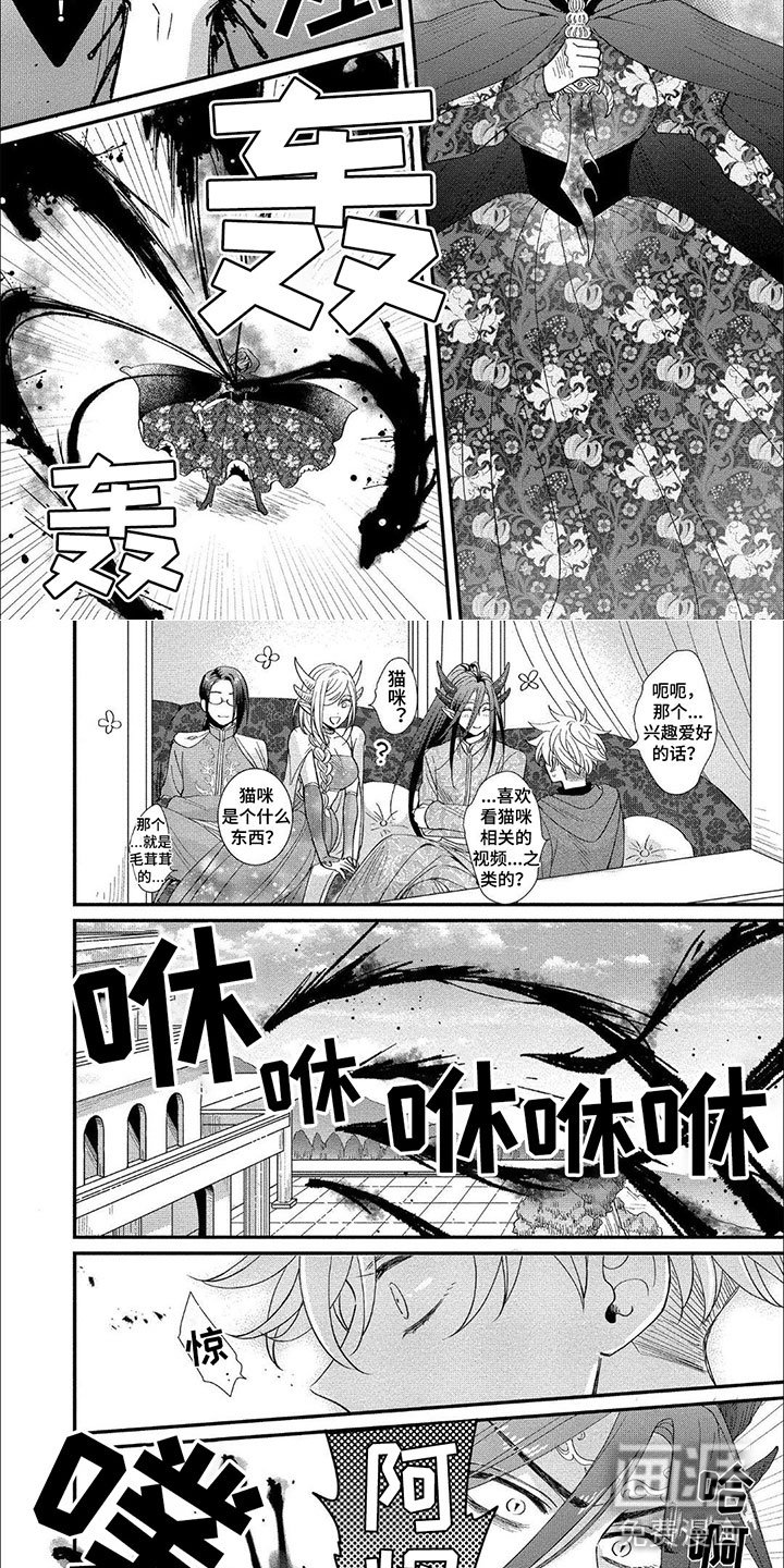 第14章：诅咒