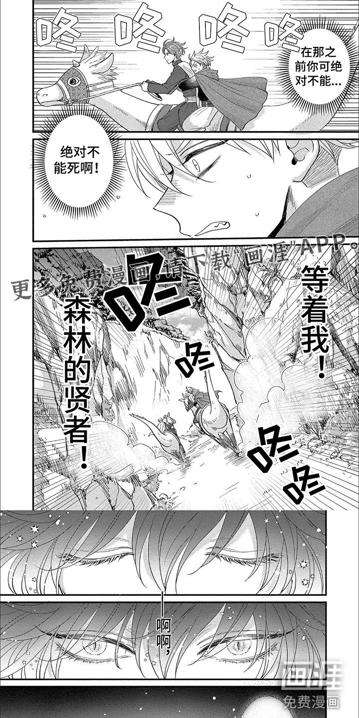 第16章：森林贤者