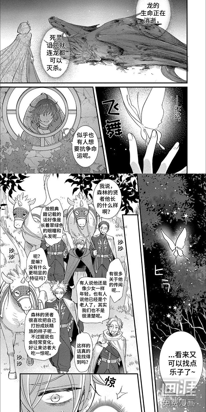 第16章：森林贤者