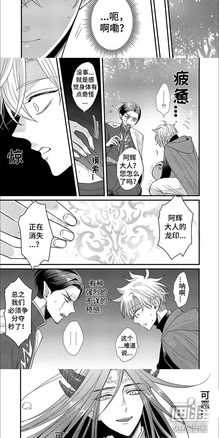 第16章：森林贤者