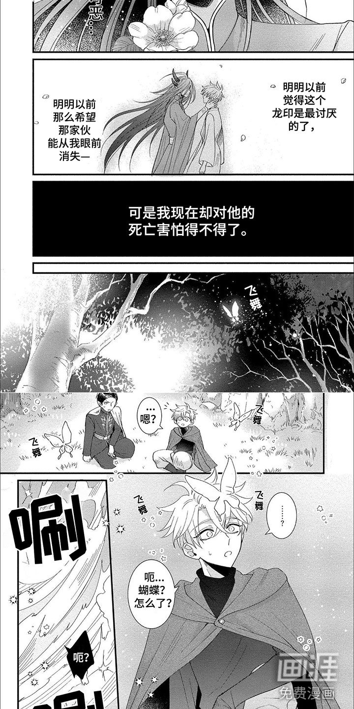 第16章：森林贤者