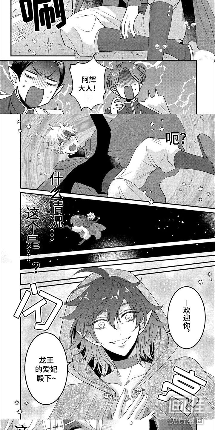 第16章：森林贤者