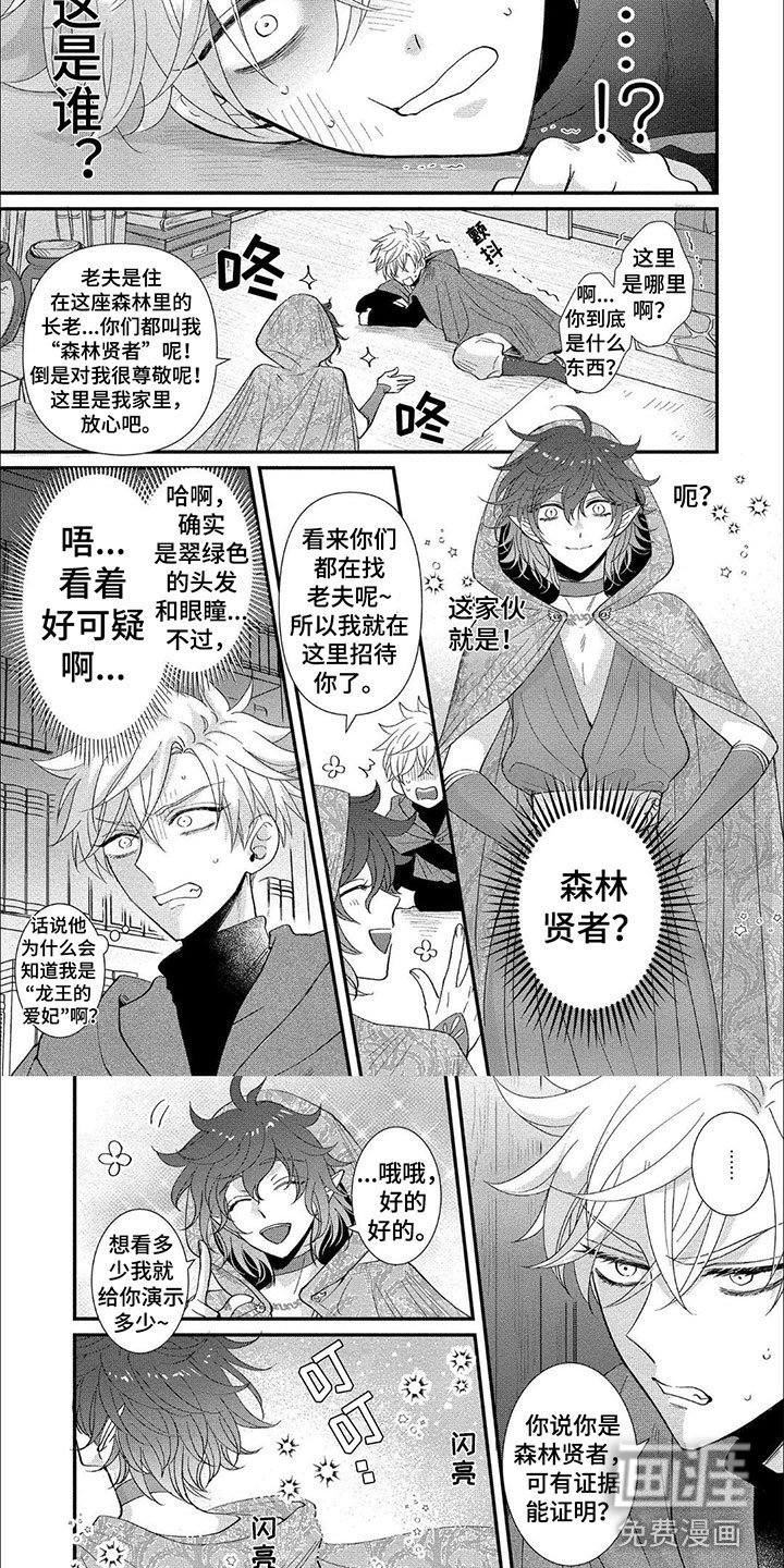 第16章：森林贤者