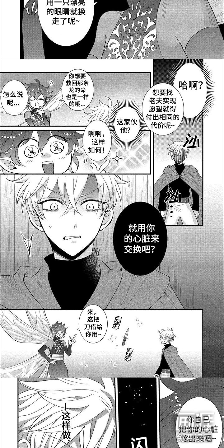 第17章：心脏