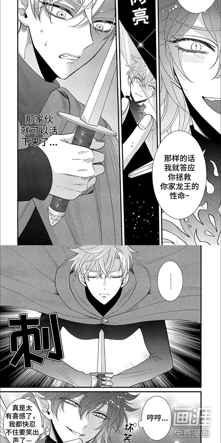第17章：心脏