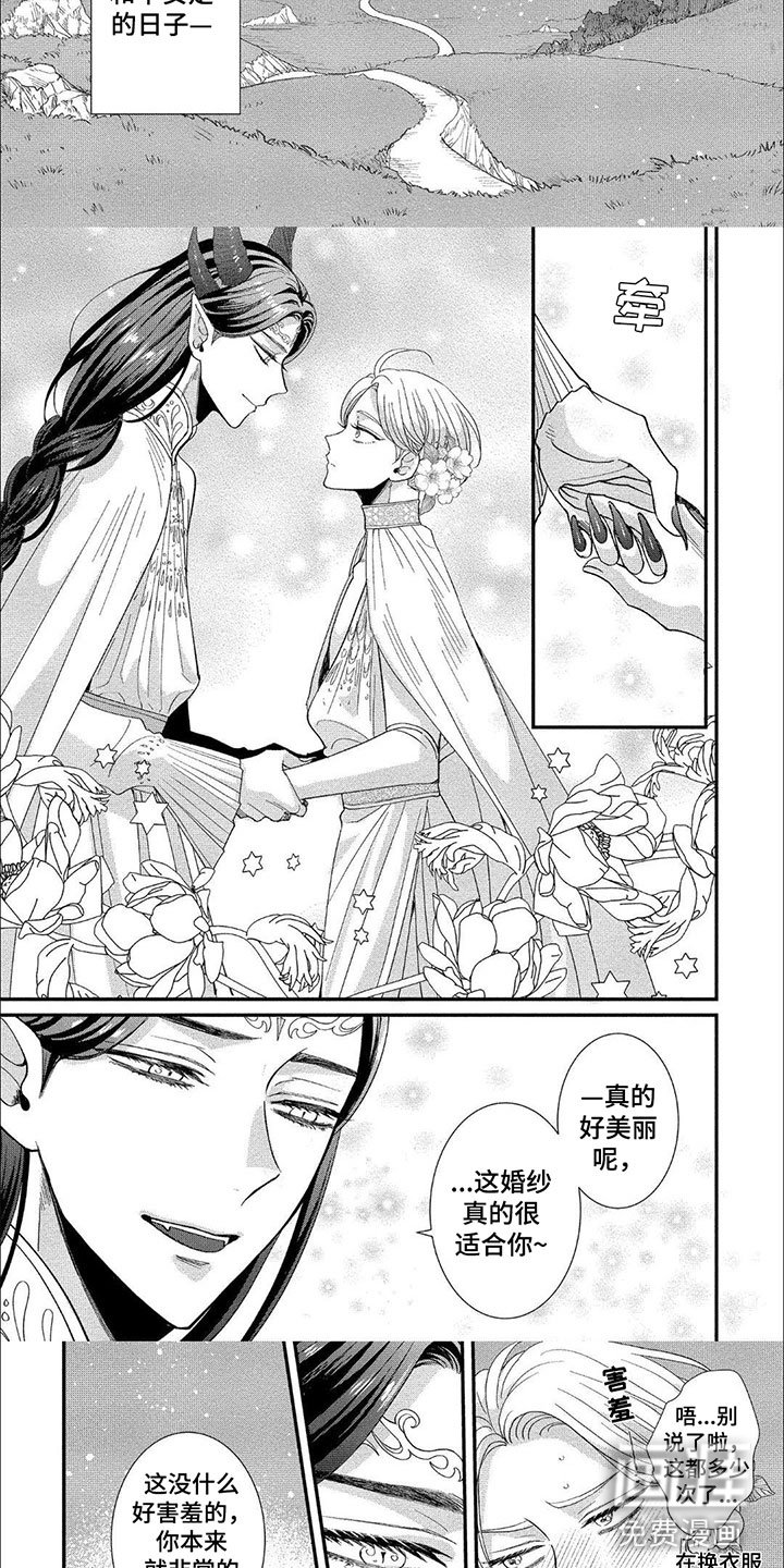 第20章：婚礼