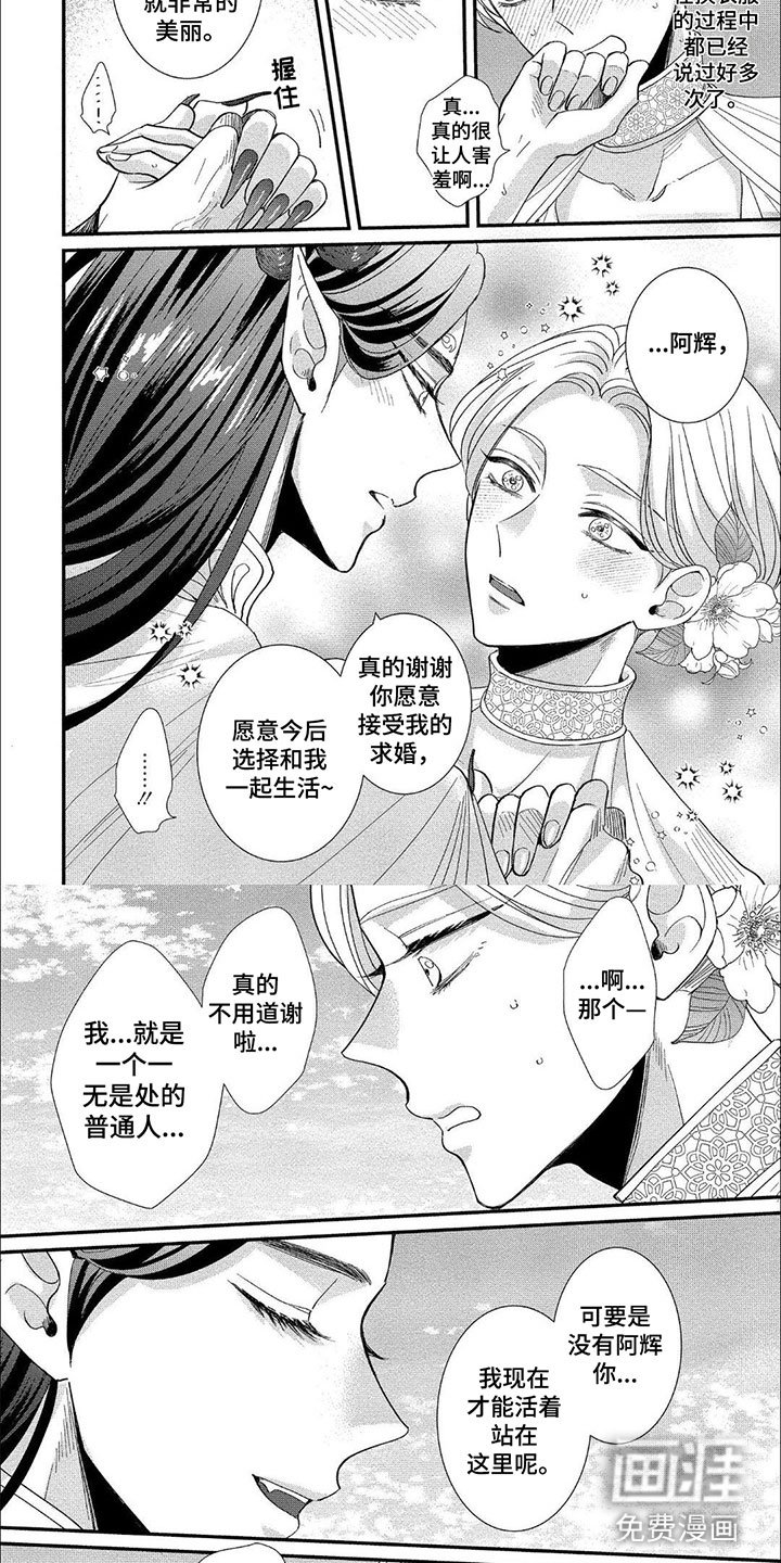 第20章：婚礼